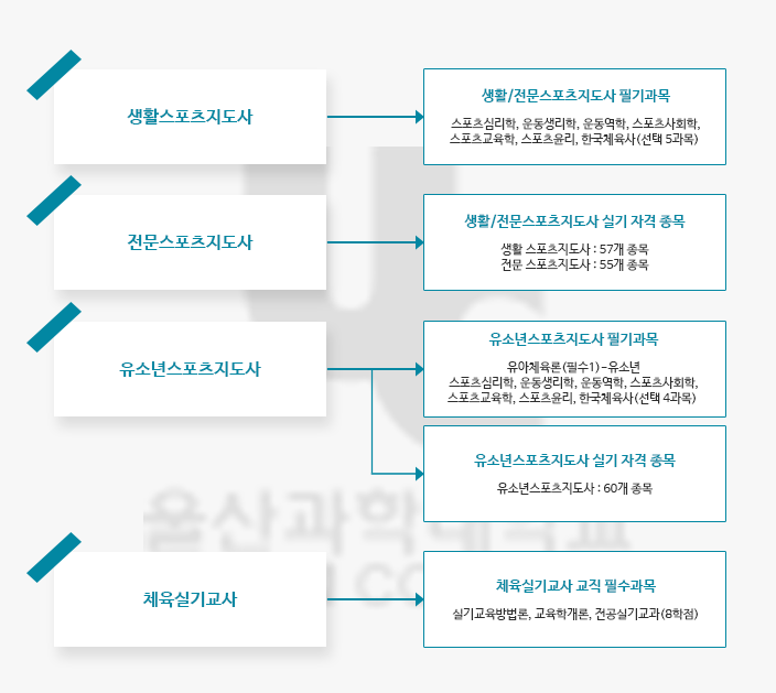 스포츠지도전공