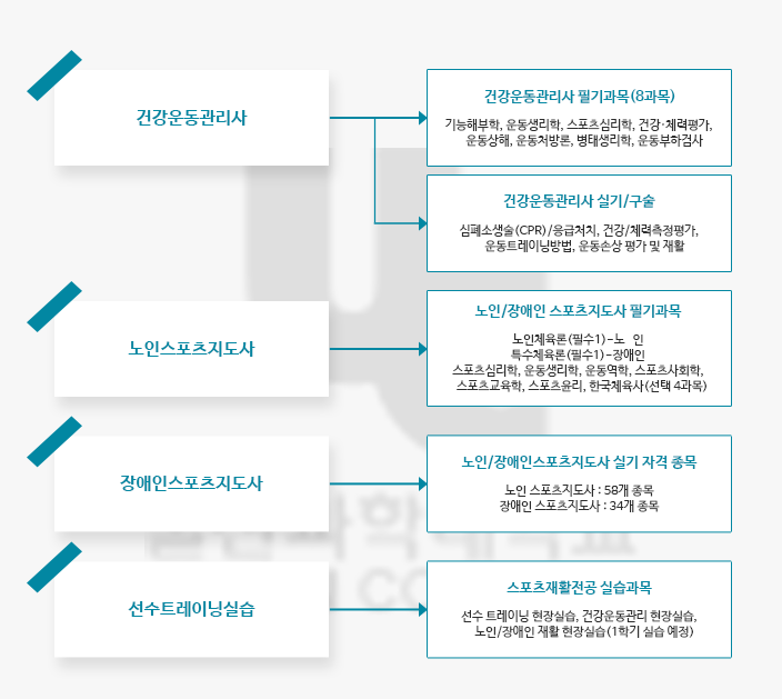 스포츠재활전공