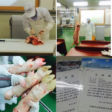 2014.8.12 한돈 육가공 체험교육(울산영양사협회협력)
