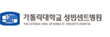 성빈센트병원