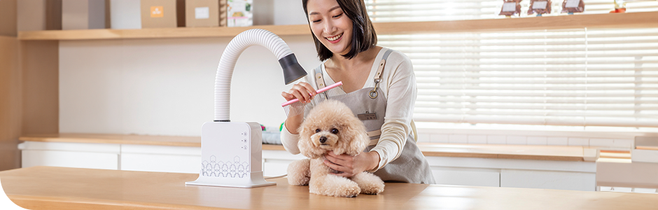 반려동물 미용분야,반려견스타일리스트, 애견미용사, 반려동물 미용실, 대형펫샵, 동물병원